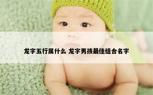 龙字五行属什么 龙字男孩最佳组合名字